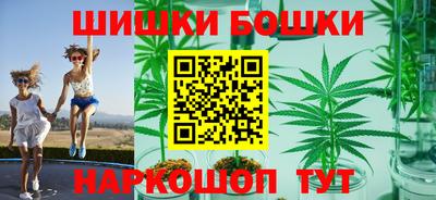 индика Гагарин