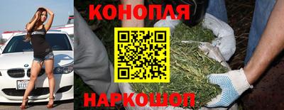 индика Гагарин