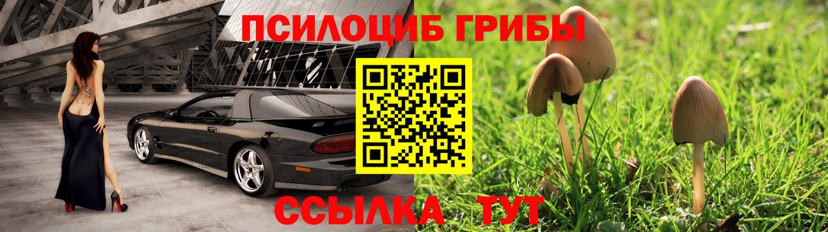 Галлюциногенные грибы мицелий Обнинск