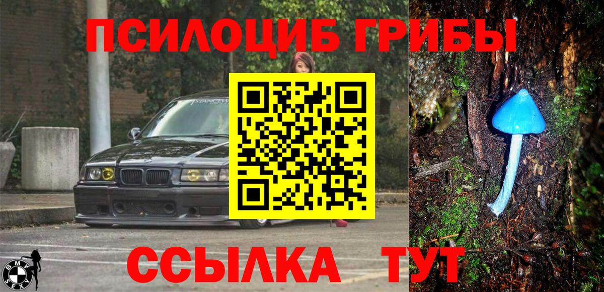 Обнинск  Псилоцибиновые грибы прущие грибы  Вход с VPN  Псилоцибиновые грибы ЛСД 